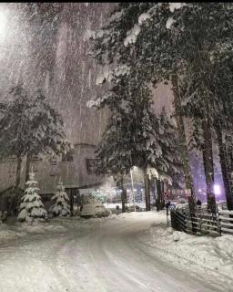 Apartman AS - Zlatibor - 3
