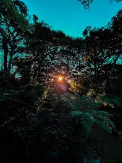 Canto da Floresta - Monte Verde - 9