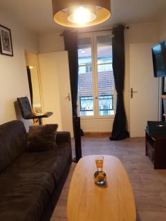 Accueillant et Cosy - Charenton-le-Pont - 0