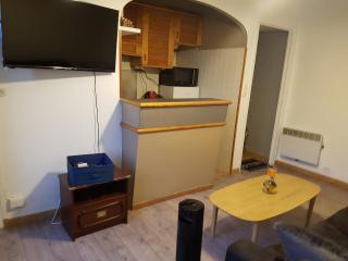 Accueillant et Cosy - Charenton-le-Pont - 1