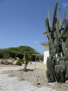 Pura Vida Aruba appartement Cama - Noord - 1