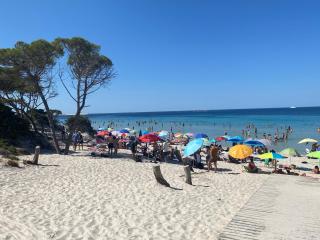 Appartamento Isola Catalana - 0
