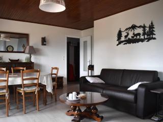 Spacieux T3 proche centre-ville Font-Romeu - 9