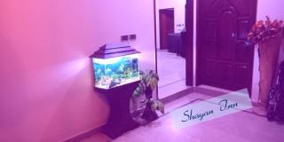 Family Guest House in Gulshan-e-iqbal , block-10 - 5