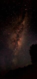 Summerspring Beachfront Accommodation - Takaka - 5