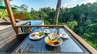 Anja Villas Ubud - Tegalalang - 5