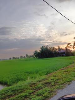 Laman D'Arni - Sungai Besar - 7