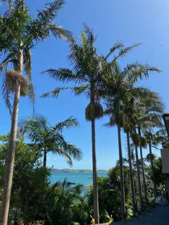 Harbour Palms Apartment - 9