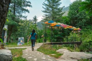 Whoopers Boutique Resort Jibhi - Jibhi - 6