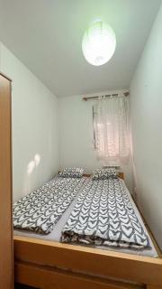 Lorono Kosta - Belgrade - 4