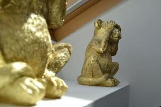 Le Cocon Filaterie - Annecy - 3