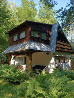 Domek w Gorcach - 9