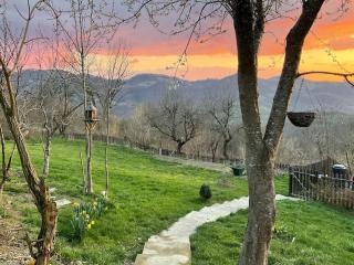 Apusenia - darul naturii - - 0