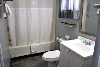 Hometowne Inn & Suites - 1