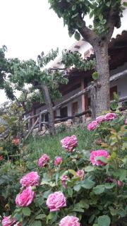 Chorros del Río Mundo - Riópar - 8