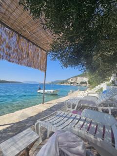 Orange Tree Mediterranean Beachfront House - Neum - 5