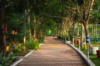 Dandeli Wild Jungle Resort - 5