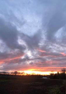 Ruhige-Ferienwohnung-auf-Pferdehof - 1