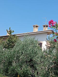 B&B "LE LUCI" SUPER CAMERA IN ATTICO interno 3 rose rosse - Vasto - 6