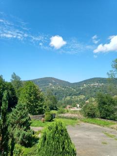 Les Sapins - Bussang - 4