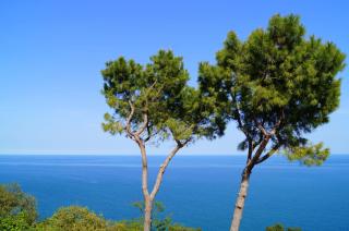 Sea View Sirolo di Amedeo - Sirolo - 4