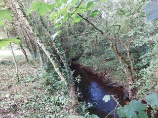 Home in Ennis - Ennis - 5