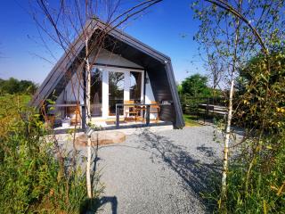 Linistea Muntilor Chalet - 3