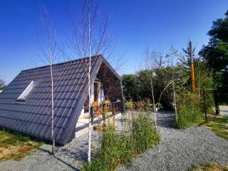 Linistea Muntilor Chalet - 2