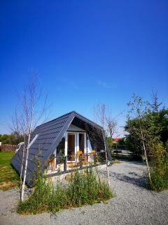 Linistea Muntilor Chalet - Porumbacu de Sus - 9
