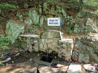 Apartman za odmor Jovanović - 5