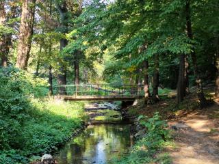 Apartman za odmor Jovanović - 8