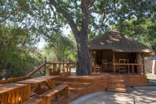 Lion Tree Top Lodge - Guernsey Nature Reserve - 7