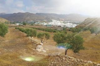 Níjar has been described as one of the most picturesque towns in the whole of Spain. A visit to Níjar guarantees the traveller a flavour of the ‘real’ Andalusia without the need to overspend on the trip. - Níjar - 7