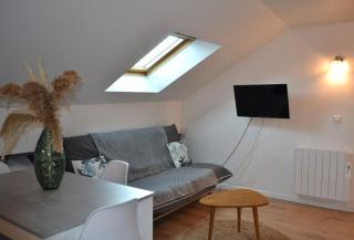 Appartement Le Filaterie sous les toits - Annecy - 8