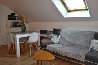 Appartement Le Filaterie sous les toits - Annecy - 4