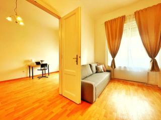 Central Spacious Flat - Budapeste - 4