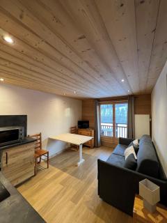 Studio face aux pistes - Praz-sur-Arly - 9