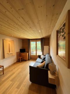Studio face aux pistes - Praz-sur-Arly - 8