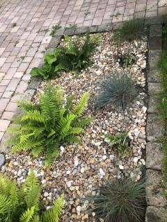 Private space with 2 bedrooms - 3