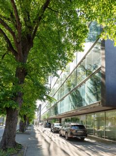 Your Dream Flat in the City Centre + Free Parking - Tallinn - 1