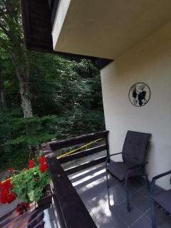 Apartament Kalinderu K3 Busteni - Buşteni - 4