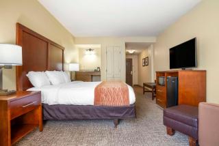 Comfort Inn & Suites Daphne Spanish Fort - Mobile East - Spanish Fort - 5