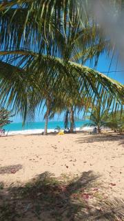 Grand appartement duplex - 9