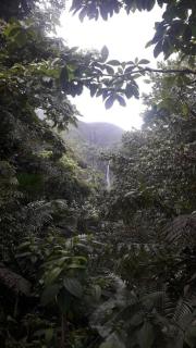 Grand appartement duplex - 4