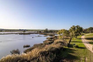 Riverglades View Riverglades - Murray Bridge - 9