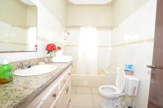 Cozy Locale - Gold - 5