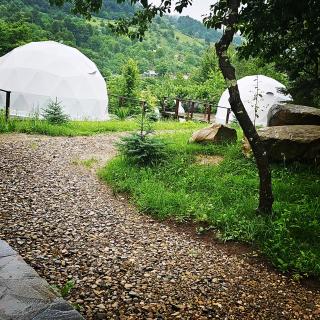 The Grand Prestige Igloo - Gura Teghii - 0