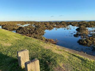Windspray Cottage - Port Albert - 4