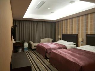 Metropolis Hotel - Taoyuan - 8