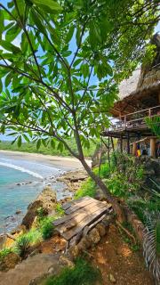 Monkey House Hostel - Tola - 2